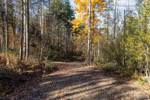 $533,200 | 9881-9937 Larkin Road, Eden, NY 14057