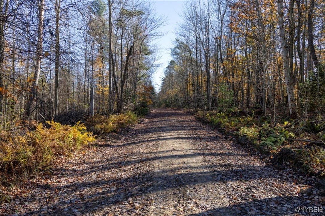 9881-9937 Larkin Road Eden, NY 14057 - Photo 8 of 22