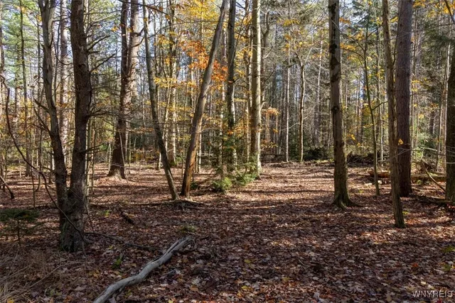 $533,200 | 9881-9937 Larkin Road, Eden, NY 14057