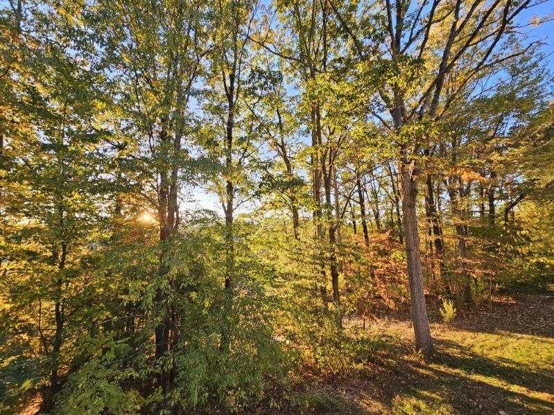 50 Valley Mill Road Swoope, VA 24479 - Photo 16 of 66