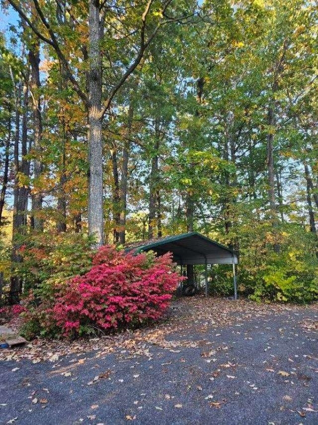 50 Valley Mill Road Swoope, VA 24479 - Photo 17 of 66 a small garden covered with tall trees