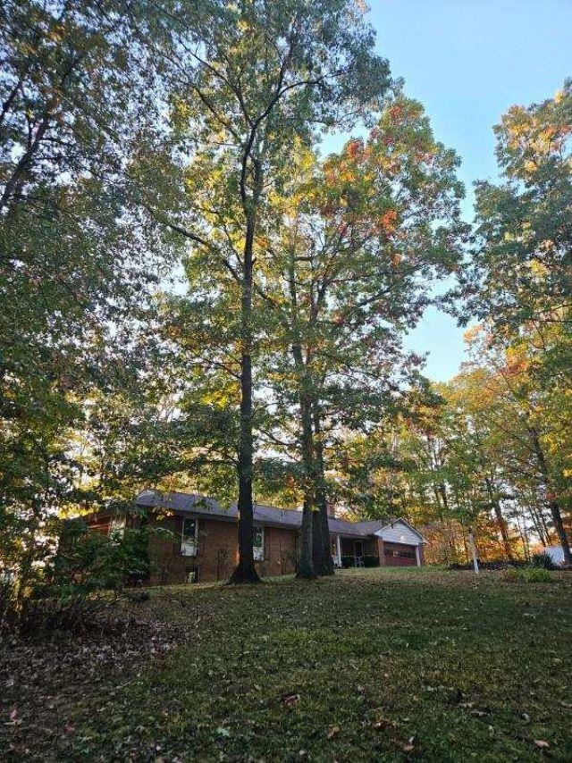 50 Valley Mill Road Swoope, VA 24479 - Photo 8 of 66 a view of backyard with trees