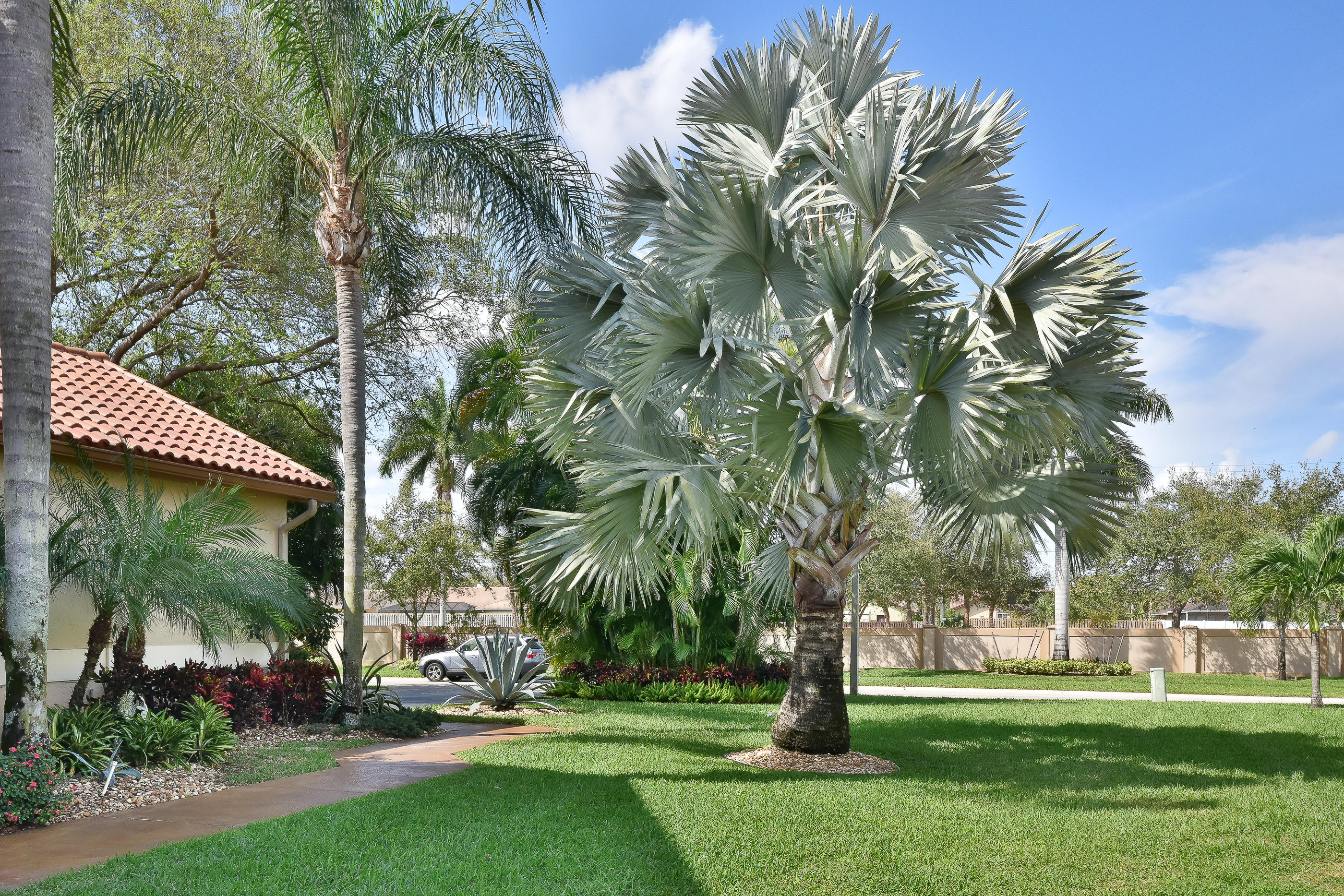 23403 Water Circle Boca Raton, FL 33486 - Photo 3 of 42 Walkway to Front Door
