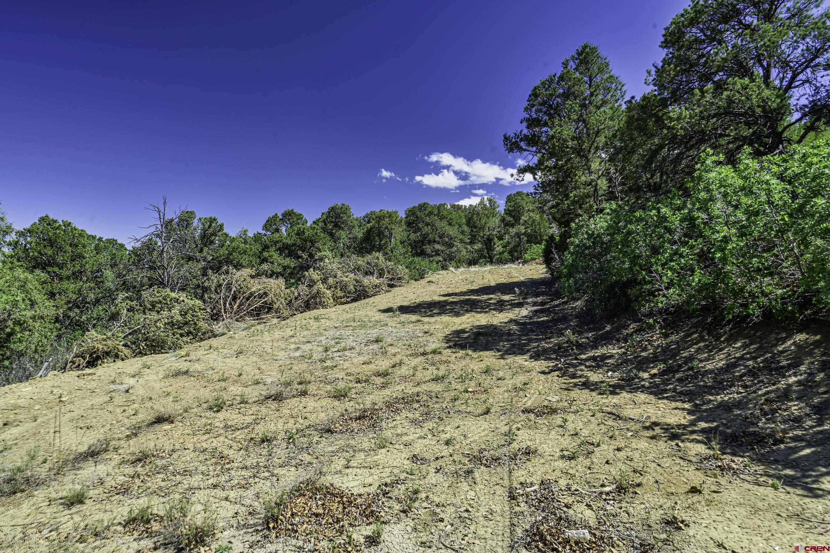 Tbd Tbd Fishers Peak Ranch Trinidad, CO 81082 - Photo 7 of 31