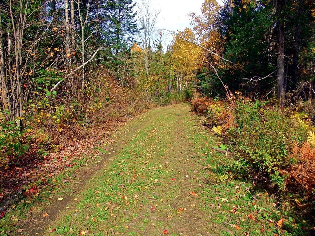Lot 5 Cone Road Amity, ME 04471 - Photo 29 of 35 Photo