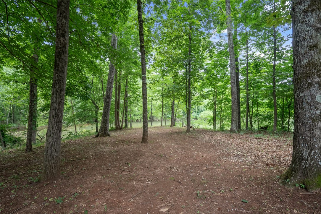 434 Knox Cove Road Westminster, SC 29693 - Photo 23 of 28 Gallery Image 23