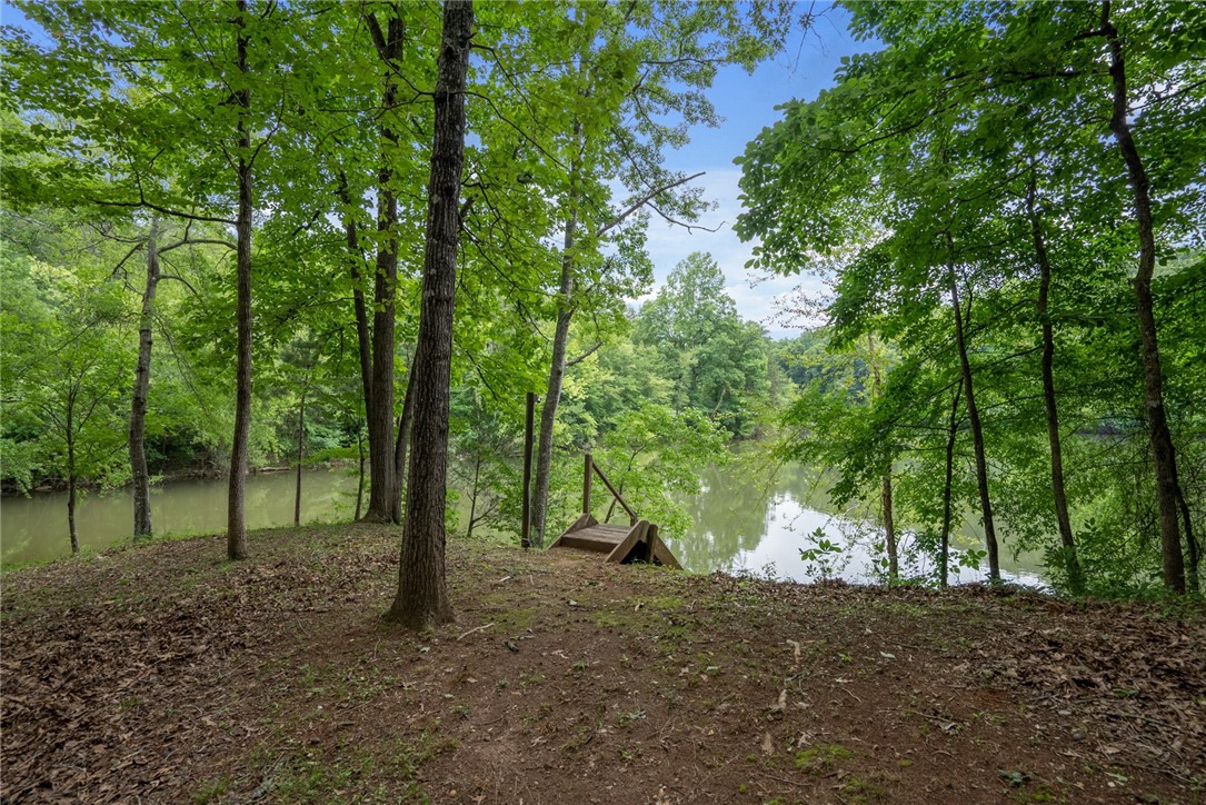 434 Knox Cove Road Westminster, SC 29693 - Photo 24 of 28 Gallery Image 24
