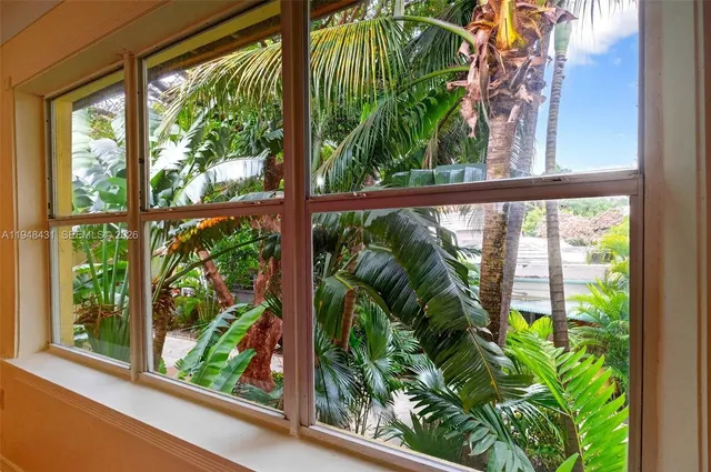 a view of a garden with plants