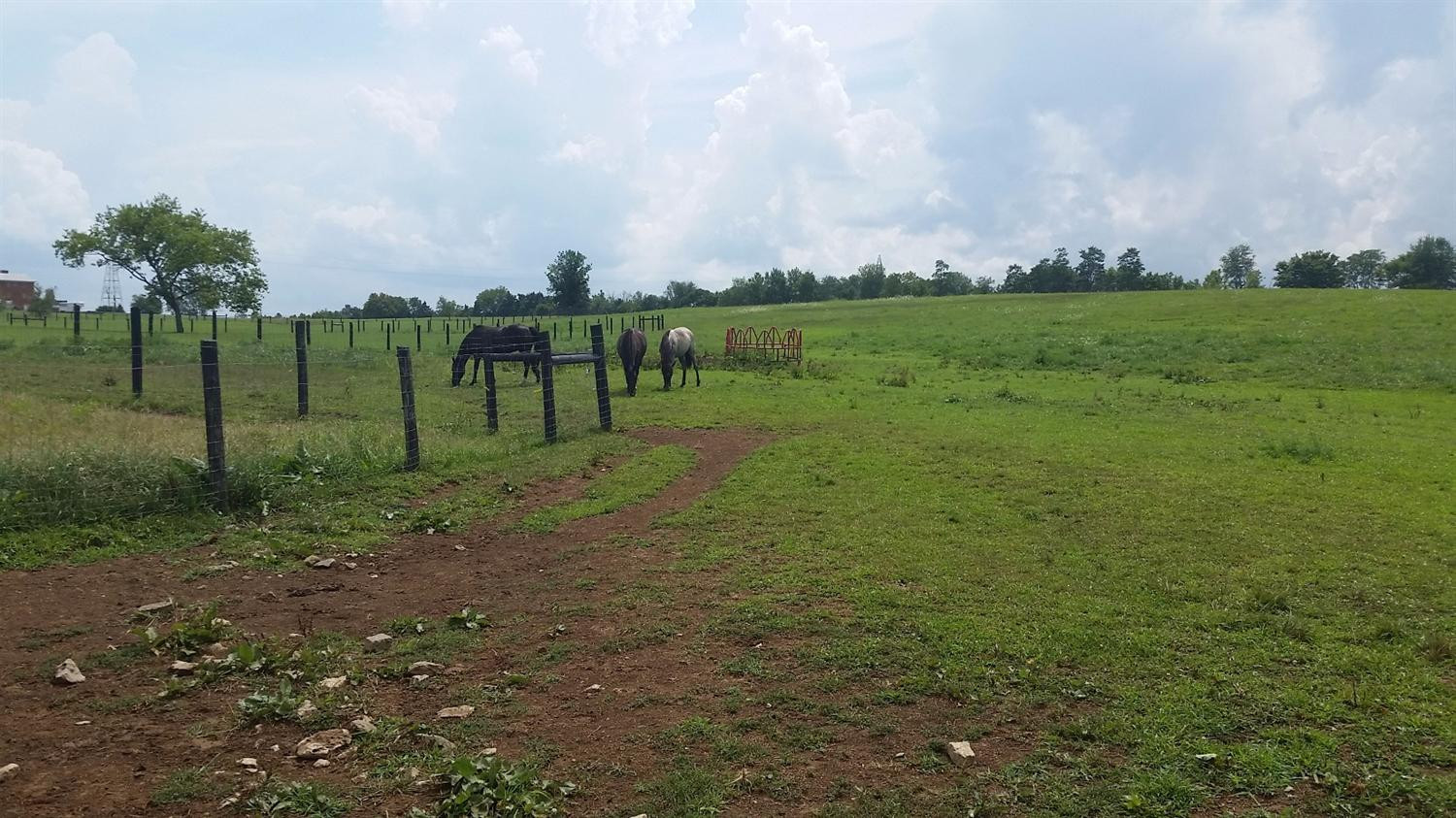 186 Bondville Road Salvisa, KY 40372 - Photo 25 of 29 Photo 25