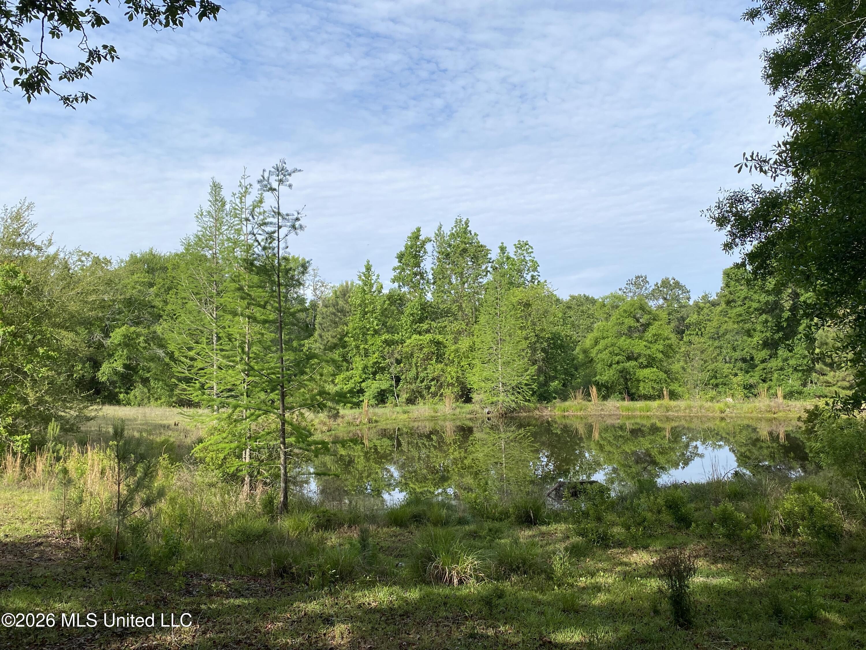 40 Clay Road Picayune, MS 39466 - Photo 31 of 33 31, IMG_9299