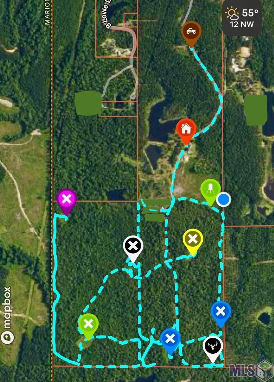 3947 Purvis Columbia Road Lumberton, MS 39455 - Photo 17 of 54