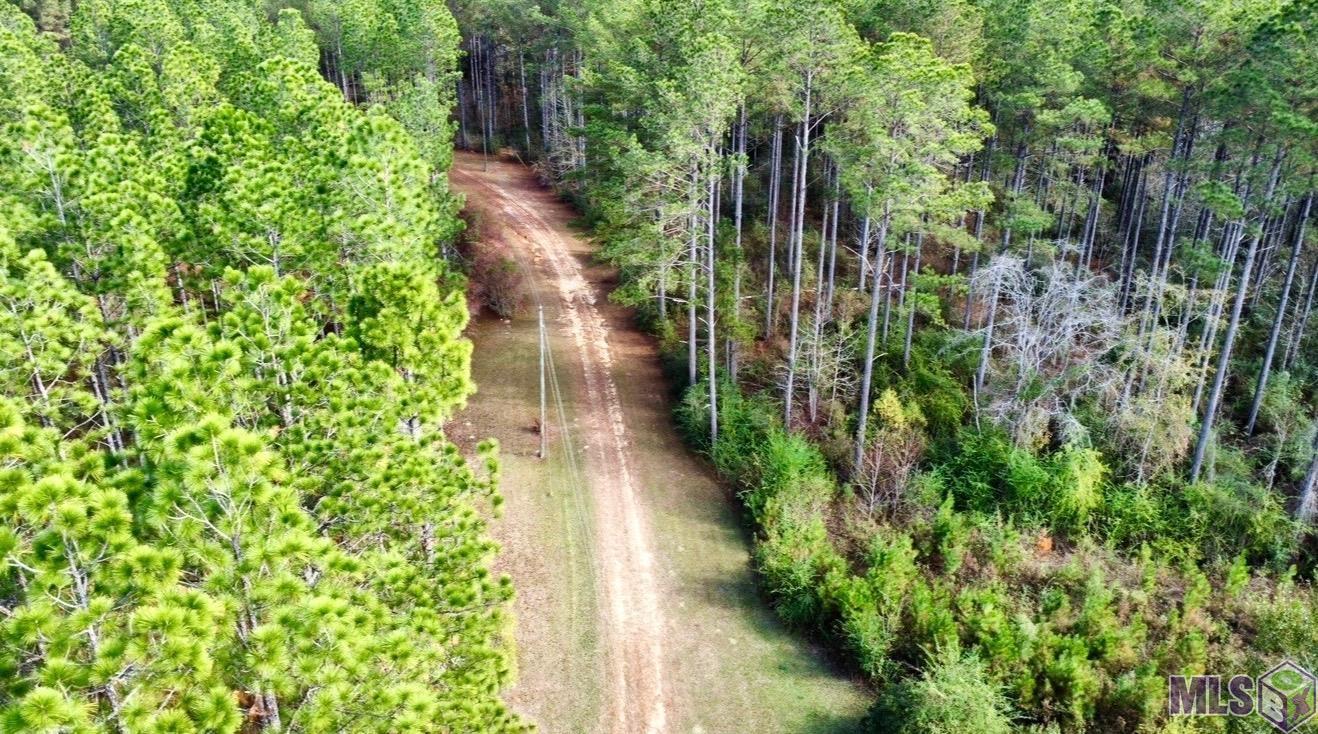 3947 Purvis Columbia Road Lumberton, MS 39455 - Photo 2 of 54