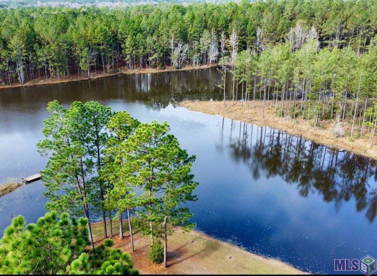 3947 Purvis Columbia Road Lumberton, MS 39455 - Photo 3 of 54