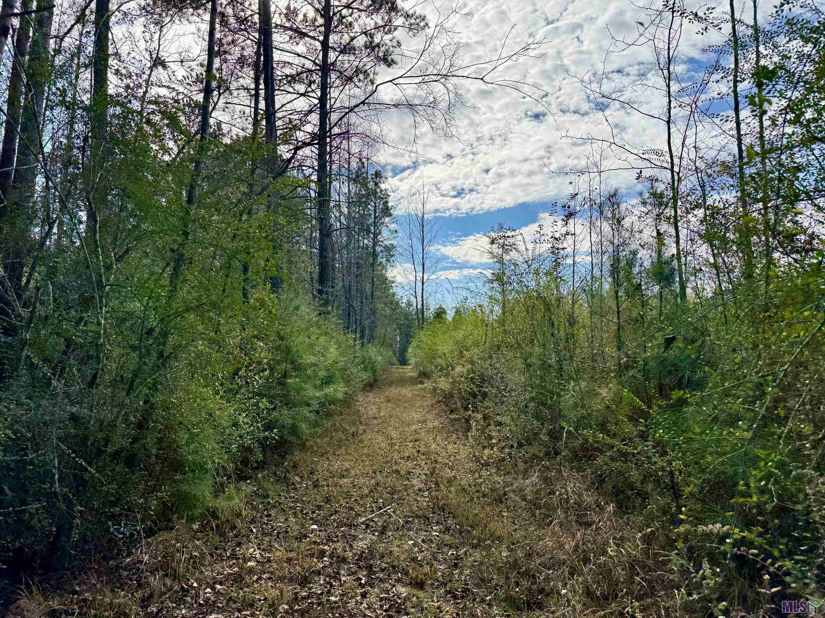 3947 Purvis Columbia Road Lumberton, MS 39455 - Photo 31 of 54