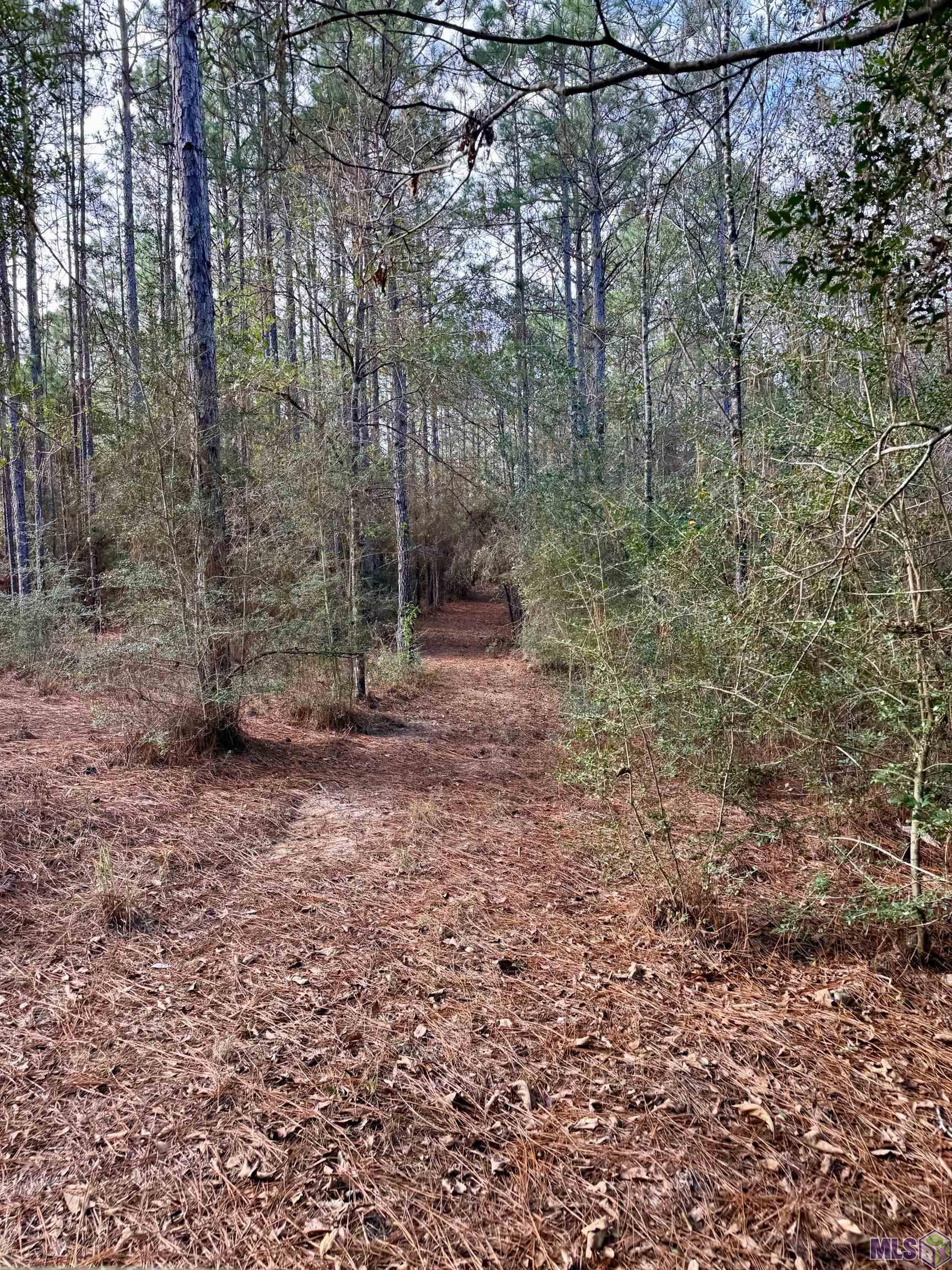 3947 Purvis Columbia Road Lumberton, MS 39455 - Photo 34 of 54