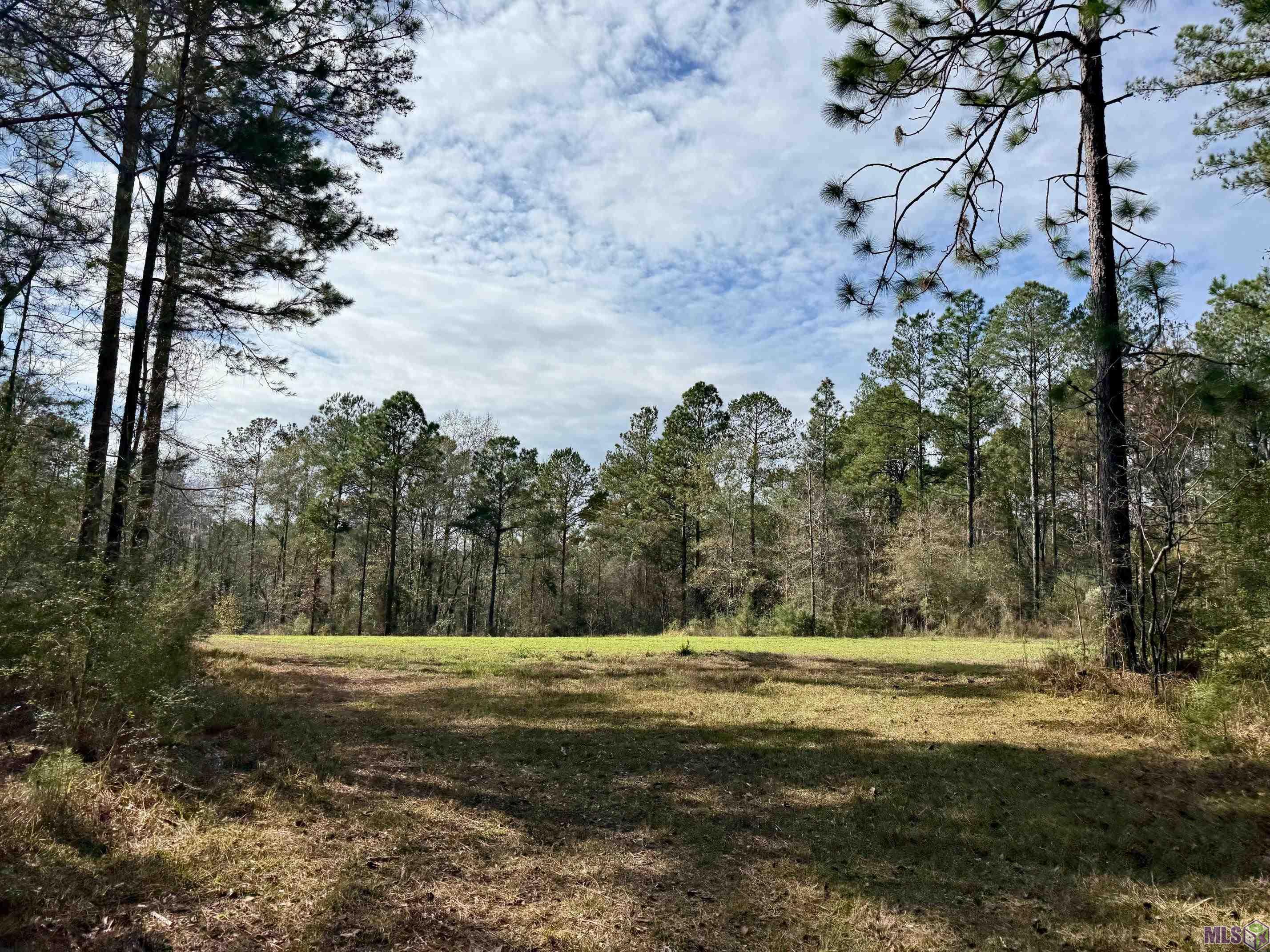 3947 Purvis Columbia Road Lumberton, MS 39455 - Photo 36 of 54