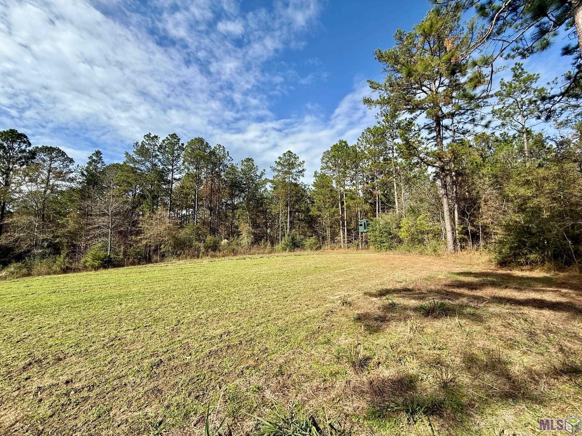 3947 Purvis Columbia Road Lumberton, MS 39455 - Photo 38 of 54