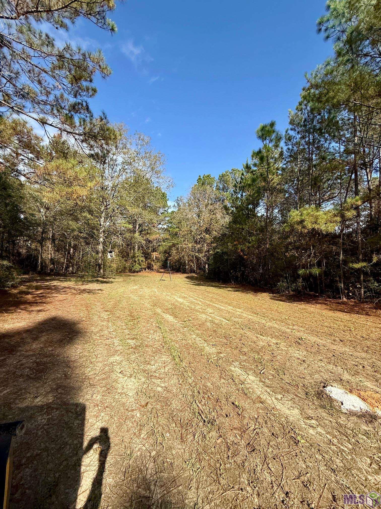 3947 Purvis Columbia Road Lumberton, MS 39455 - Photo 40 of 54