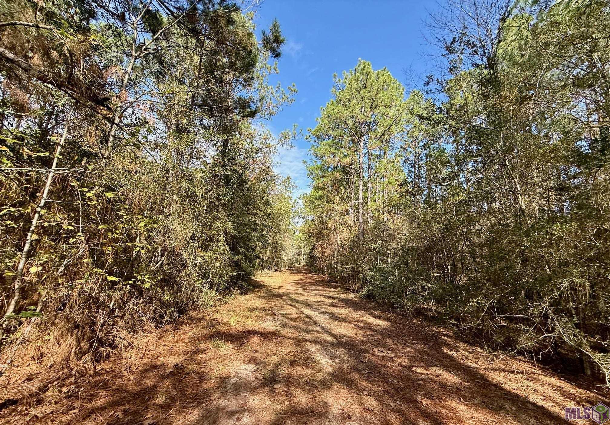 3947 Purvis Columbia Road Lumberton, MS 39455 - Photo 41 of 54