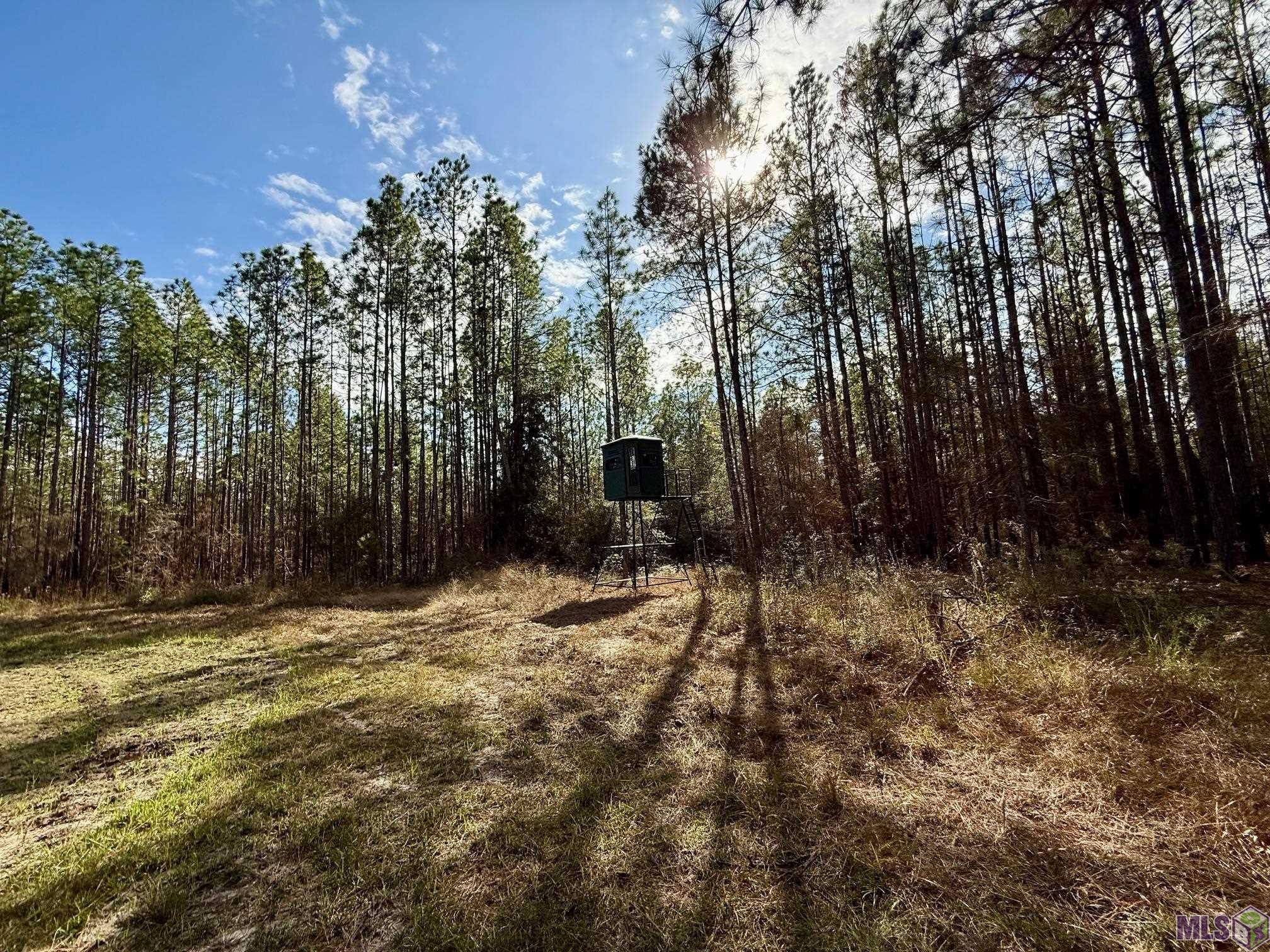 3947 Purvis Columbia Road Lumberton, MS 39455 - Photo 42 of 54