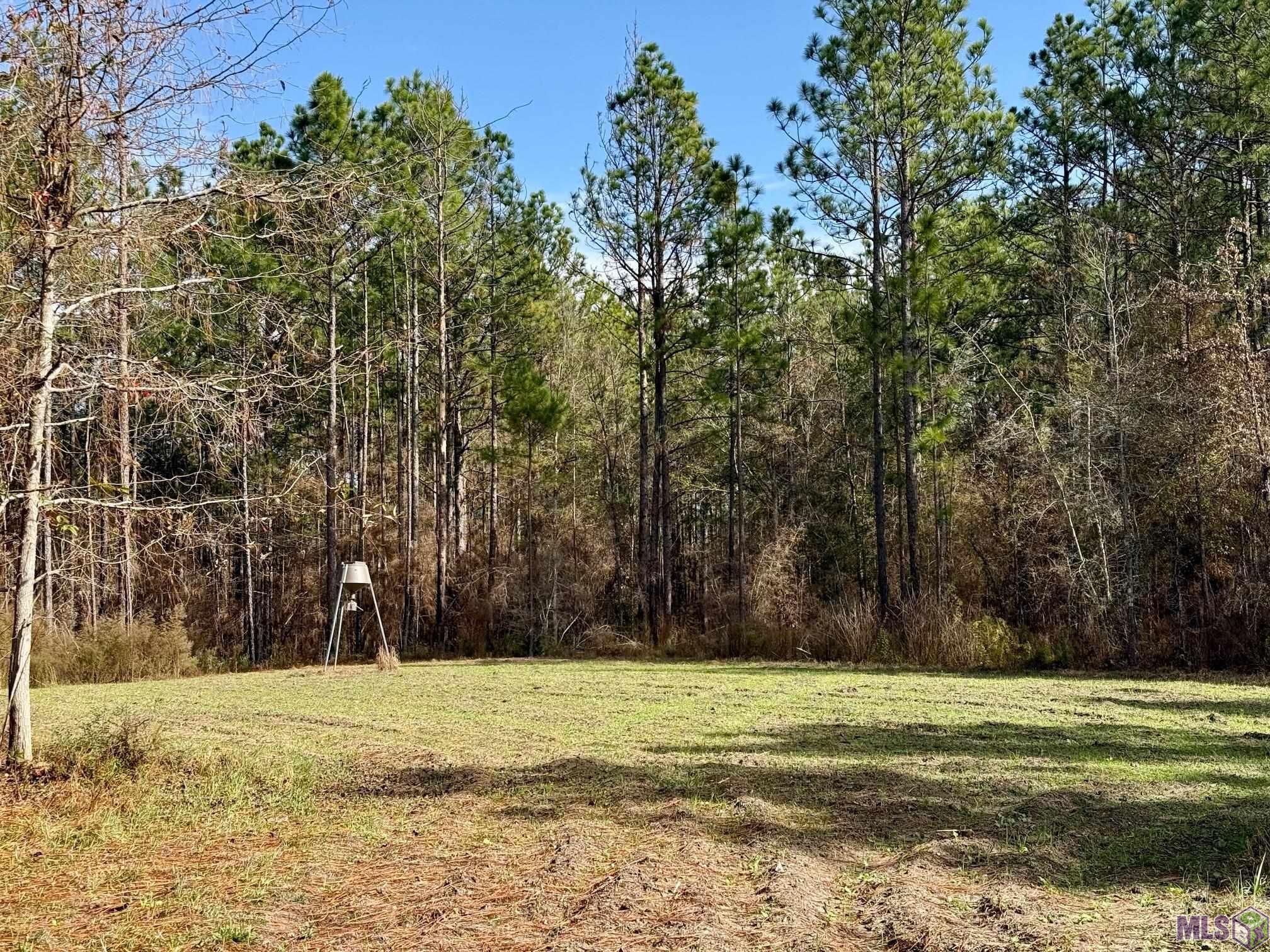 3947 Purvis Columbia Road Lumberton, MS 39455 - Photo 43 of 54