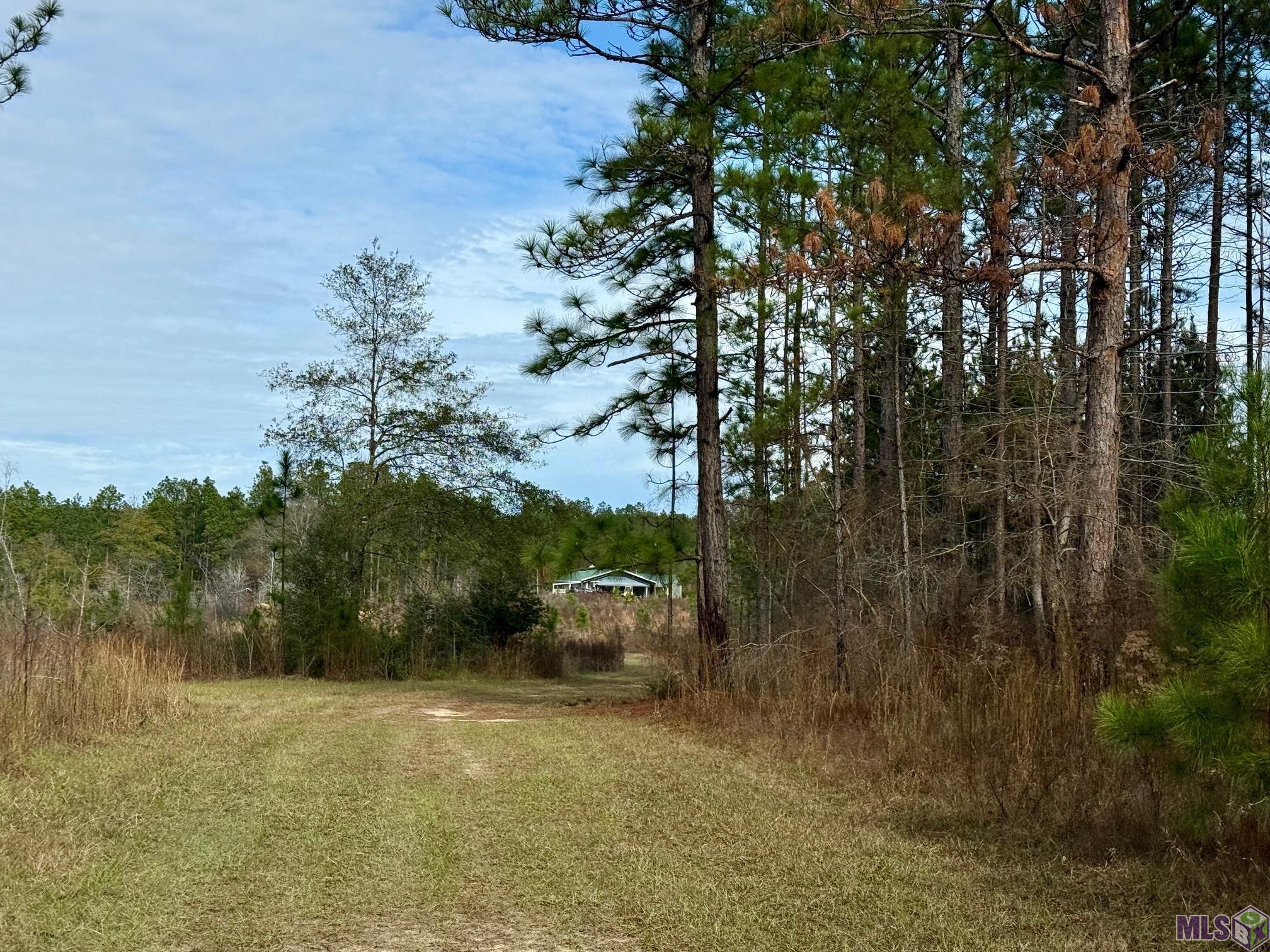 3947 Purvis Columbia Road Lumberton, MS 39455 - Photo 44 of 54