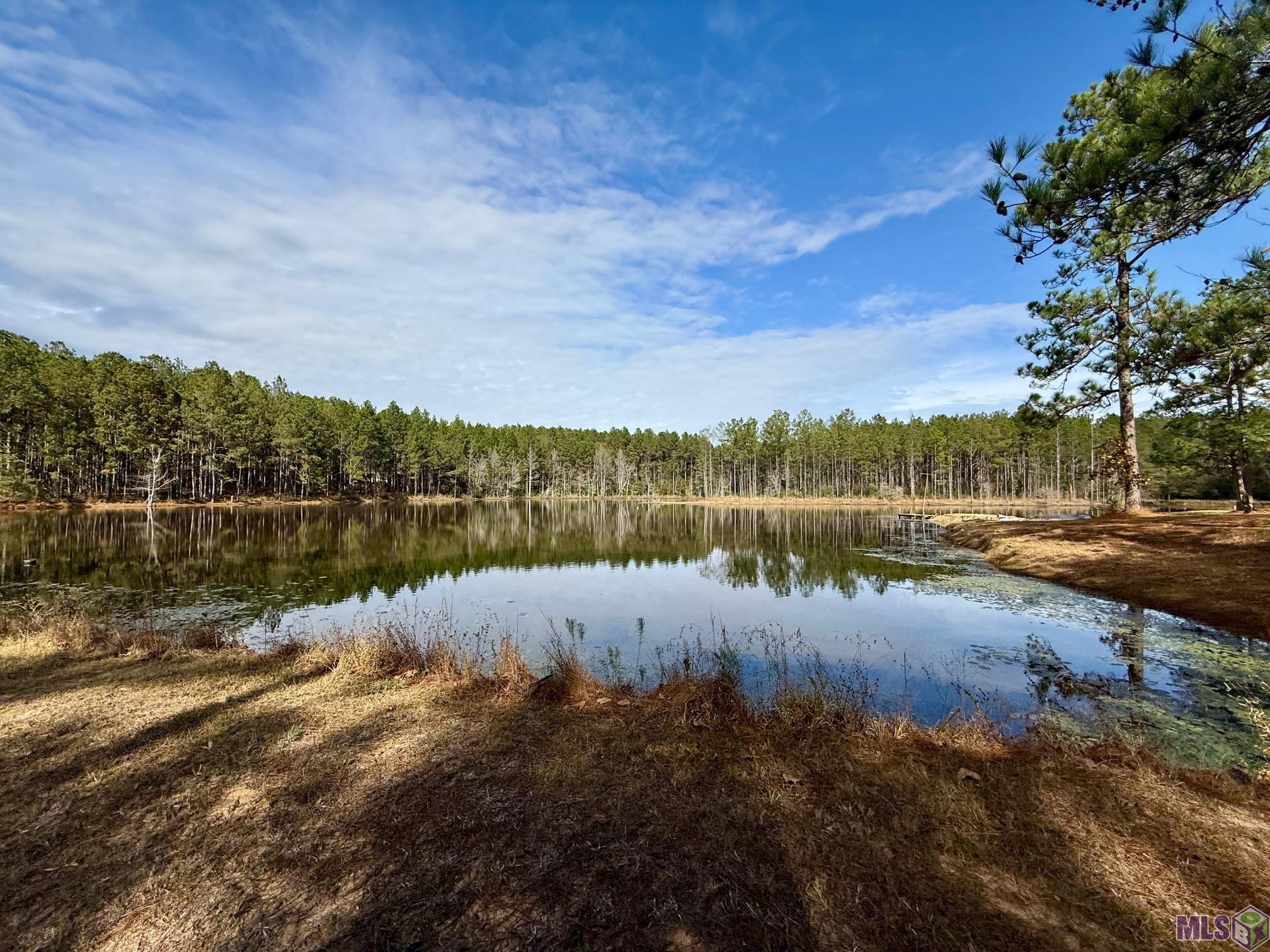 3947 Purvis Columbia Road Lumberton, MS 39455 - Photo 47 of 54