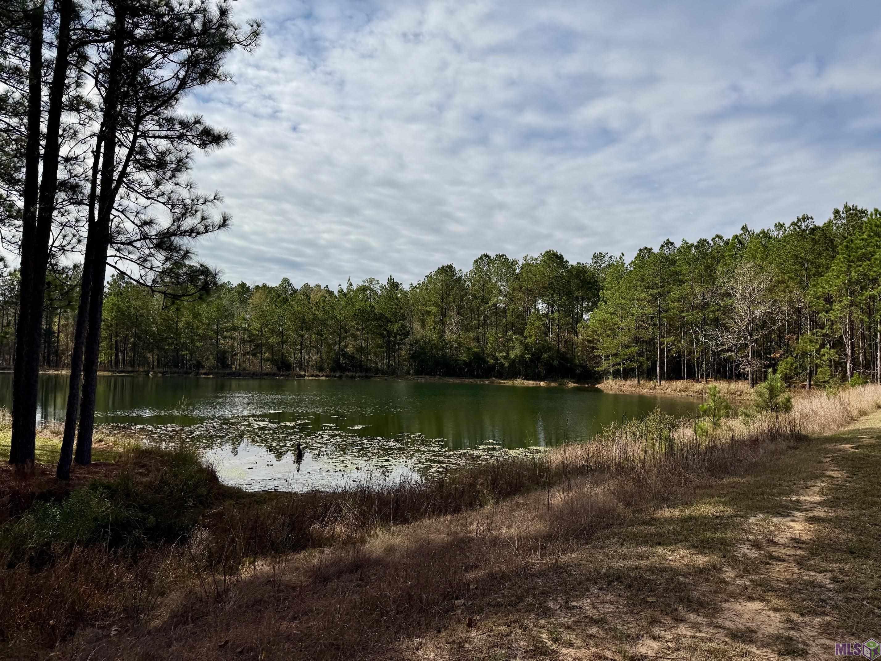 3947 Purvis Columbia Road Lumberton, MS 39455 - Photo 48 of 54