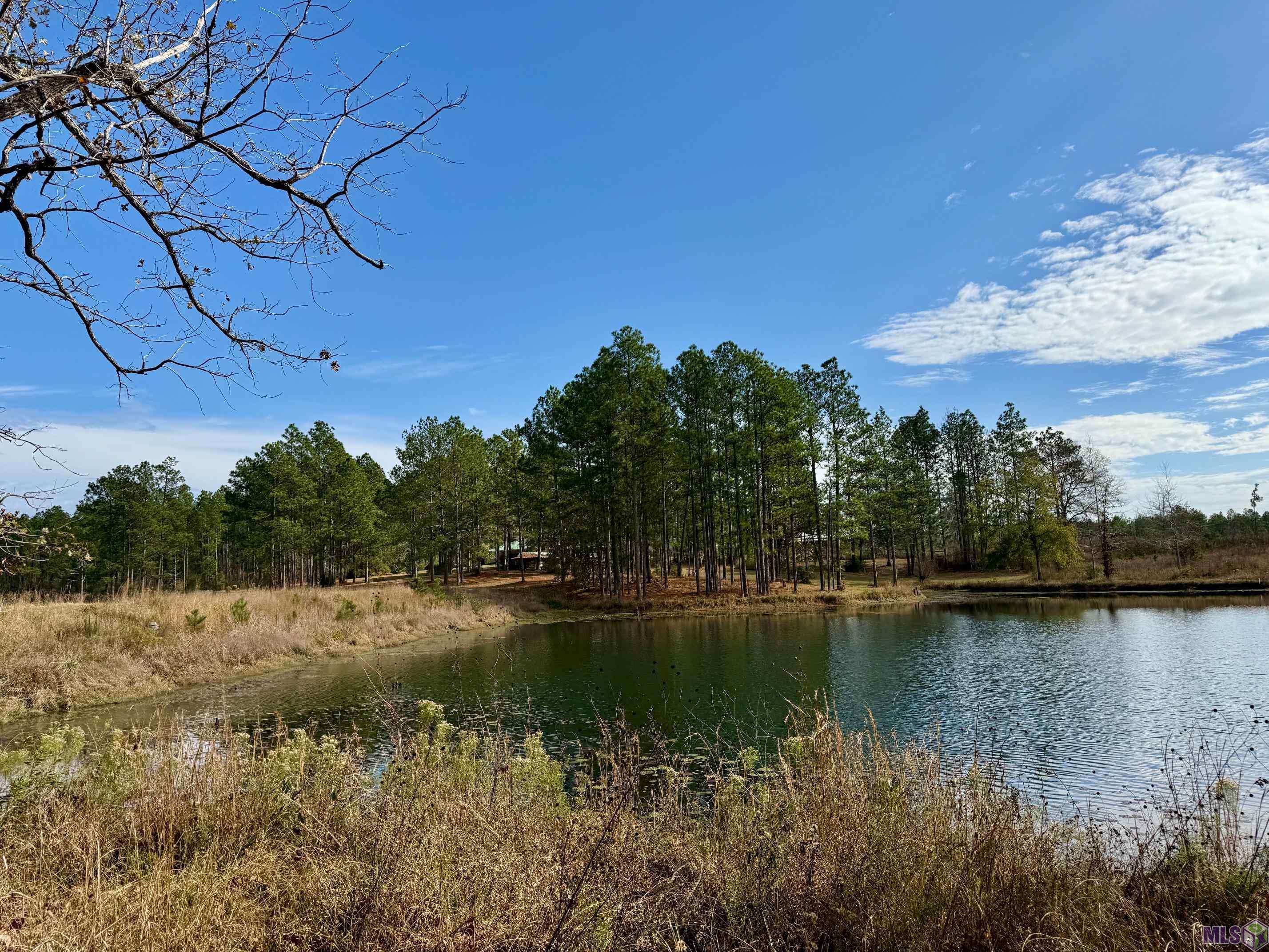 3947 Purvis Columbia Road Lumberton, MS 39455 - Photo 49 of 54