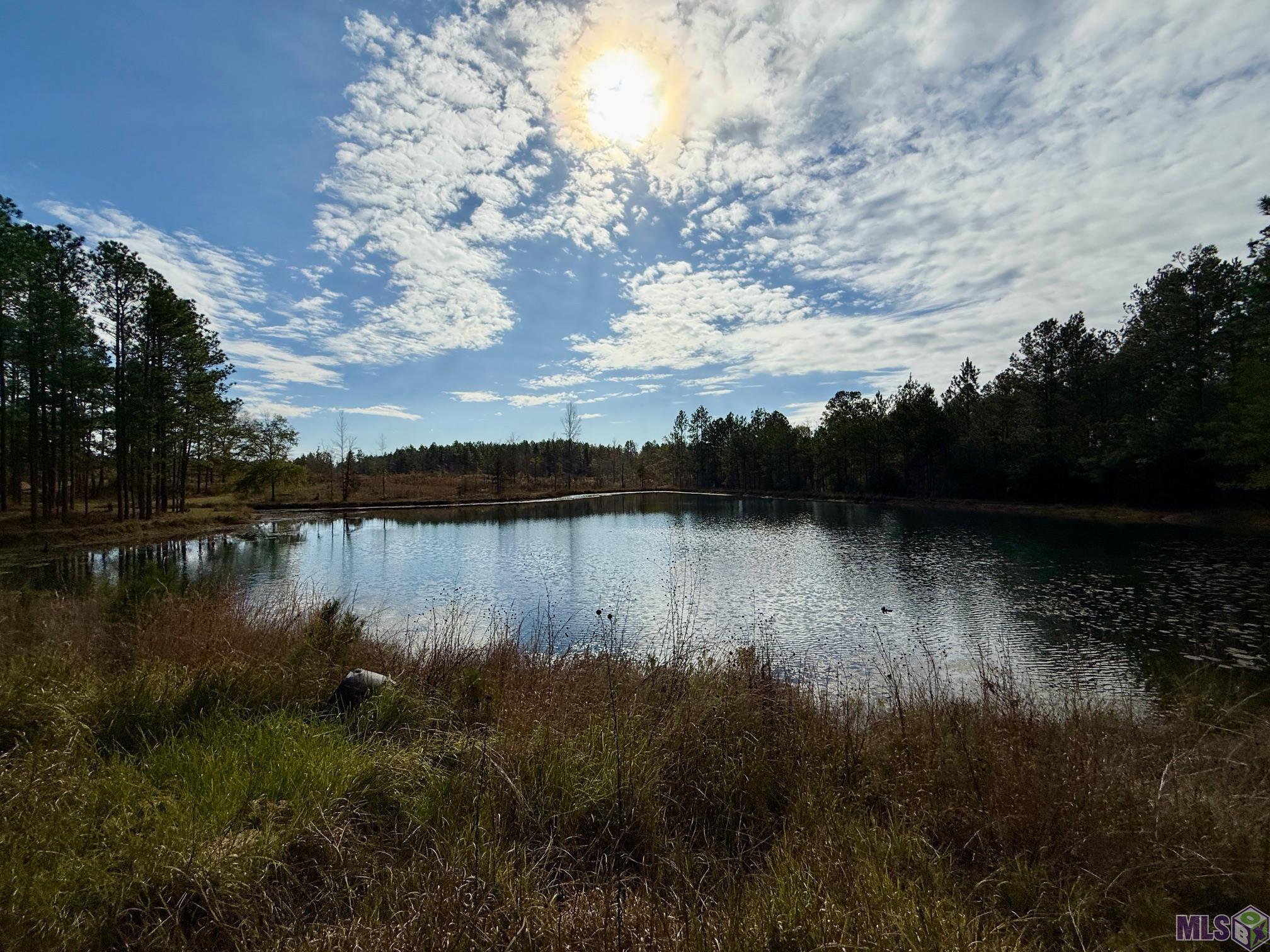 3947 Purvis Columbia Road Lumberton, MS 39455 - Photo 50 of 54