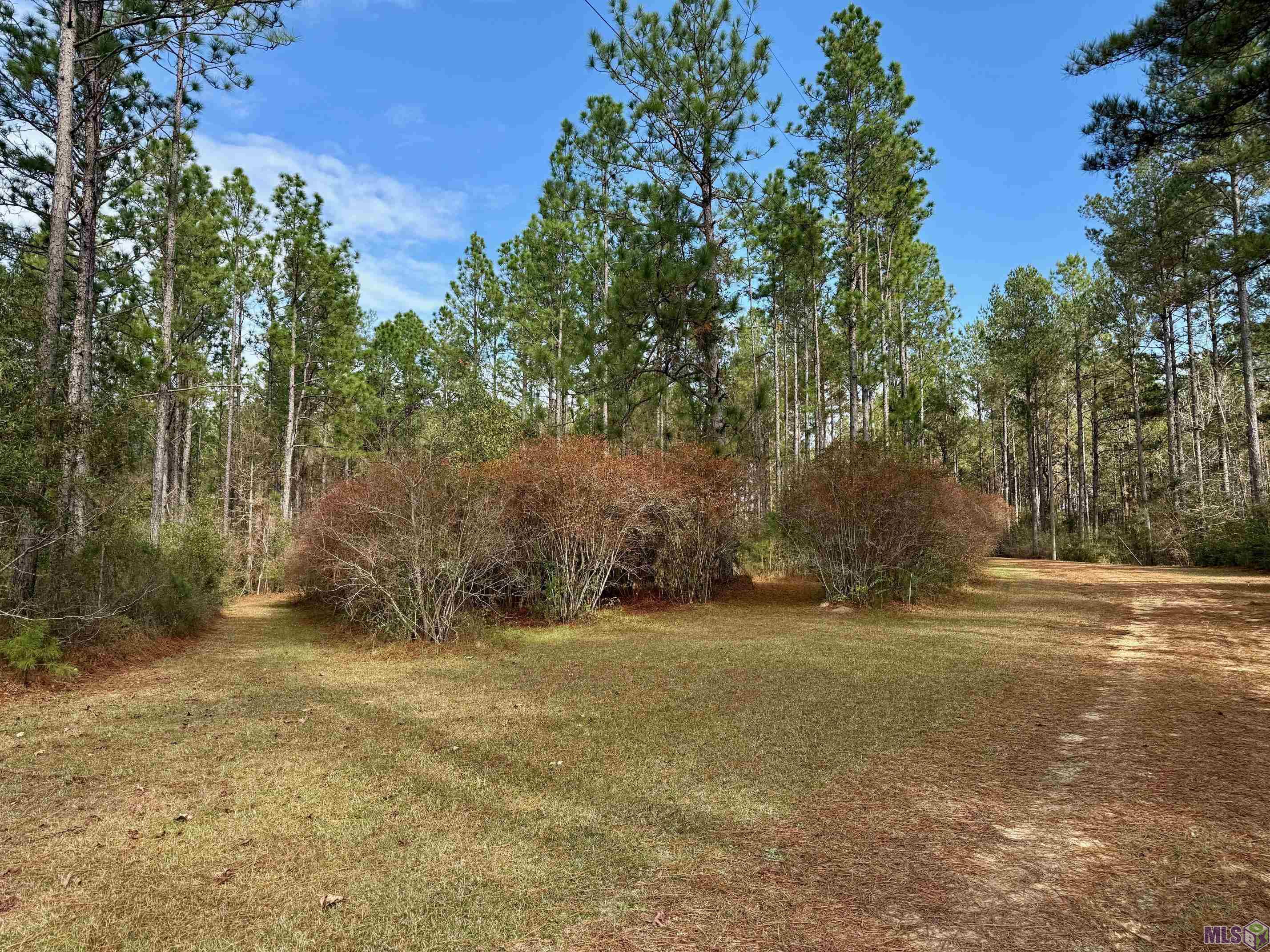 3947 Purvis Columbia Road Lumberton, MS 39455 - Photo 51 of 54