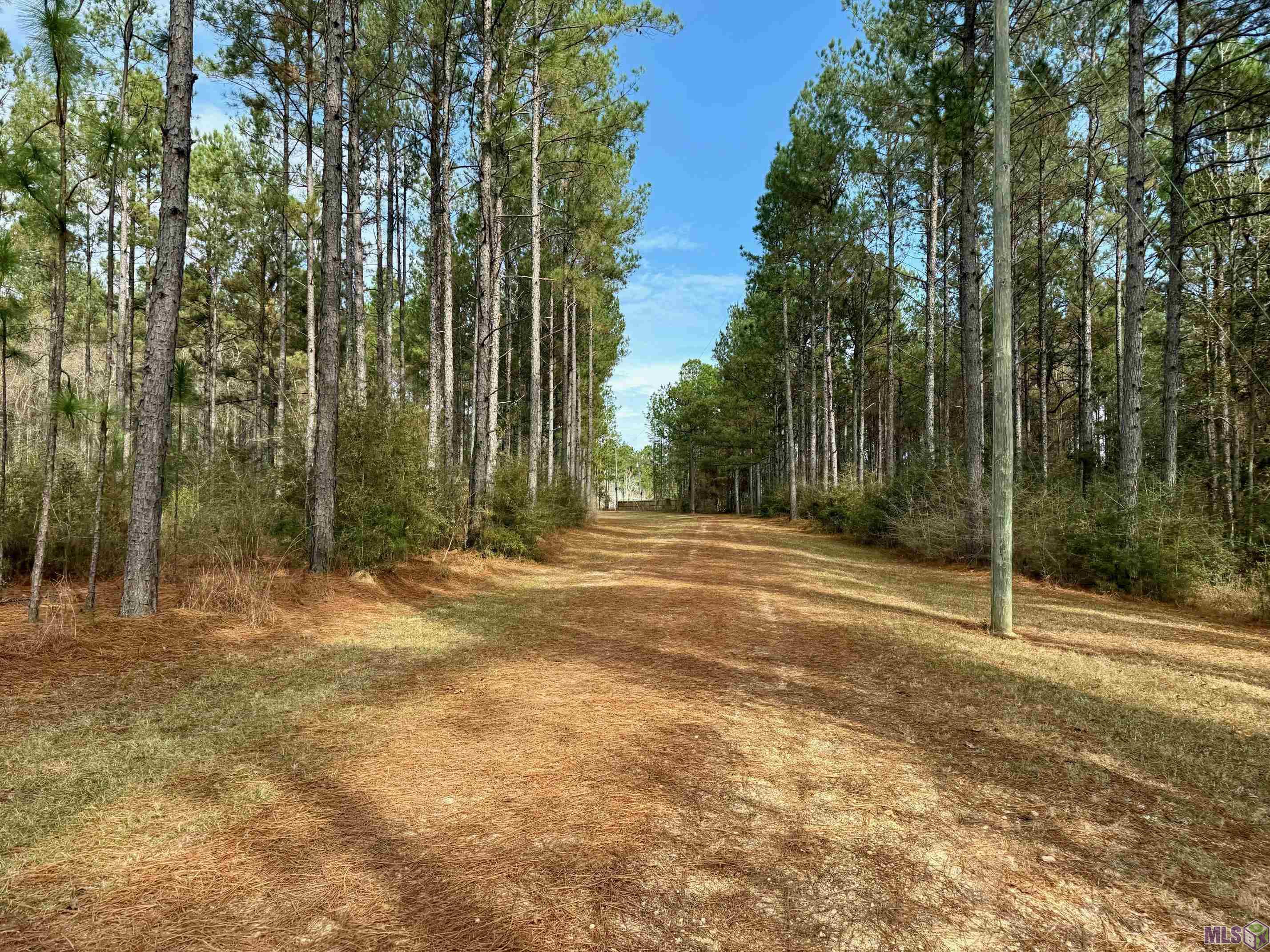 3947 Purvis Columbia Road Lumberton, MS 39455 - Photo 52 of 54