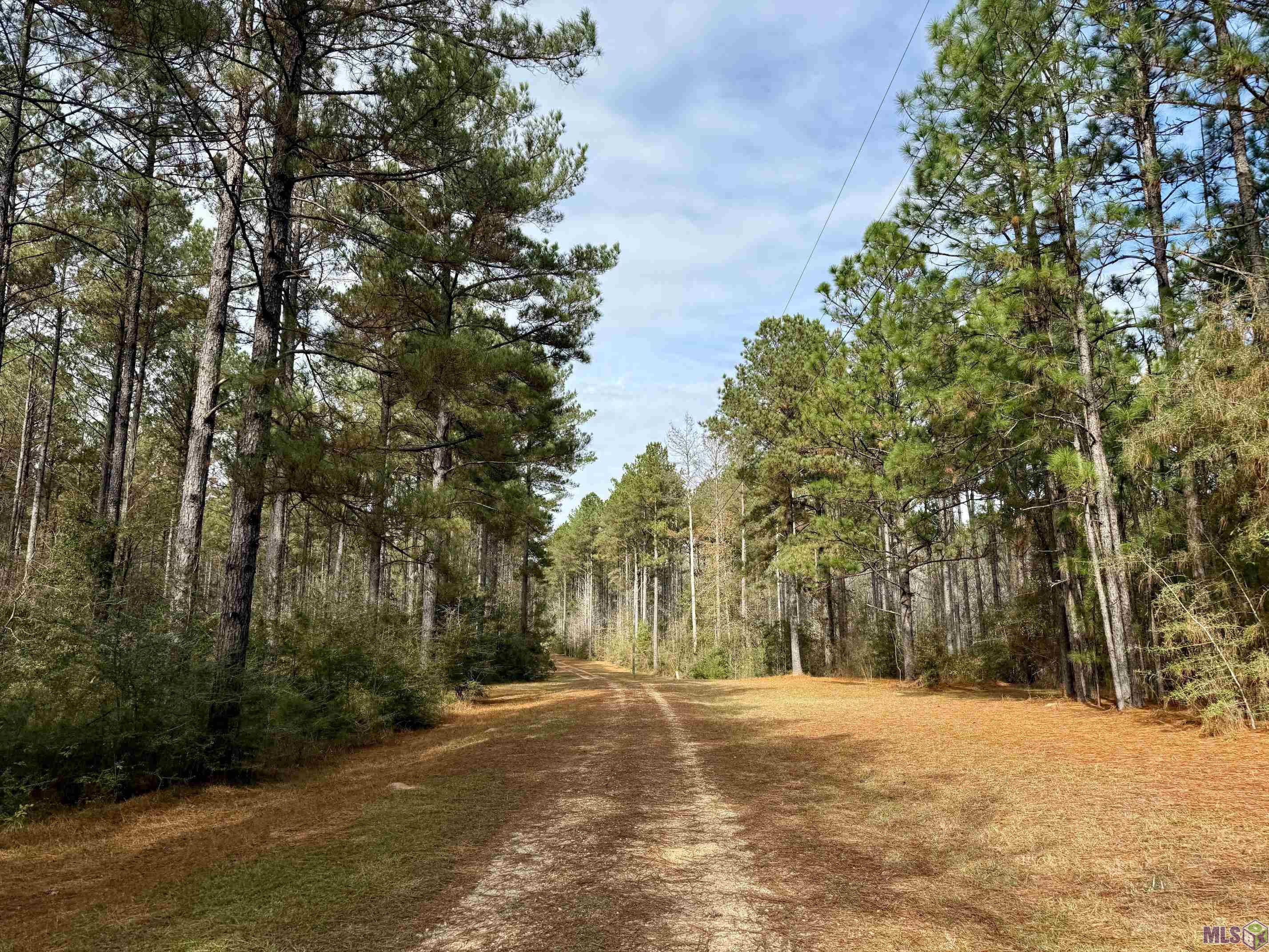 3947 Purvis Columbia Road Lumberton, MS 39455 - Photo 53 of 54