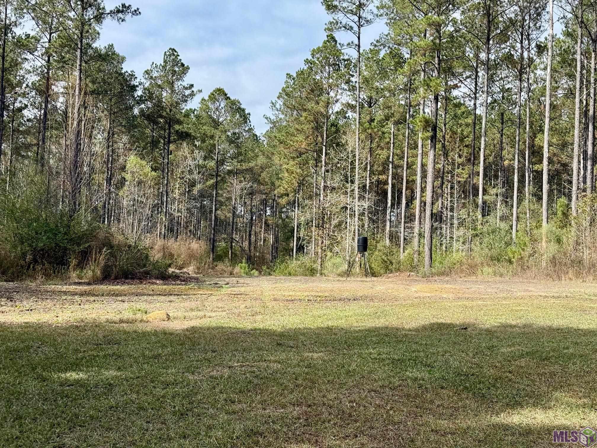 3947 Purvis Columbia Road Lumberton, MS 39455 - Photo 54 of 54