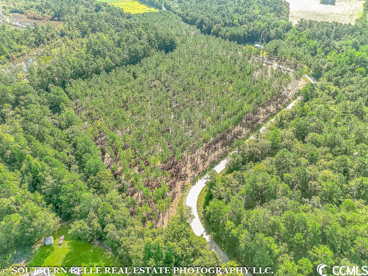 Tbd Coventry Road Nichols, SC 29581 - Photo 1 of 12 Gallery Image 1