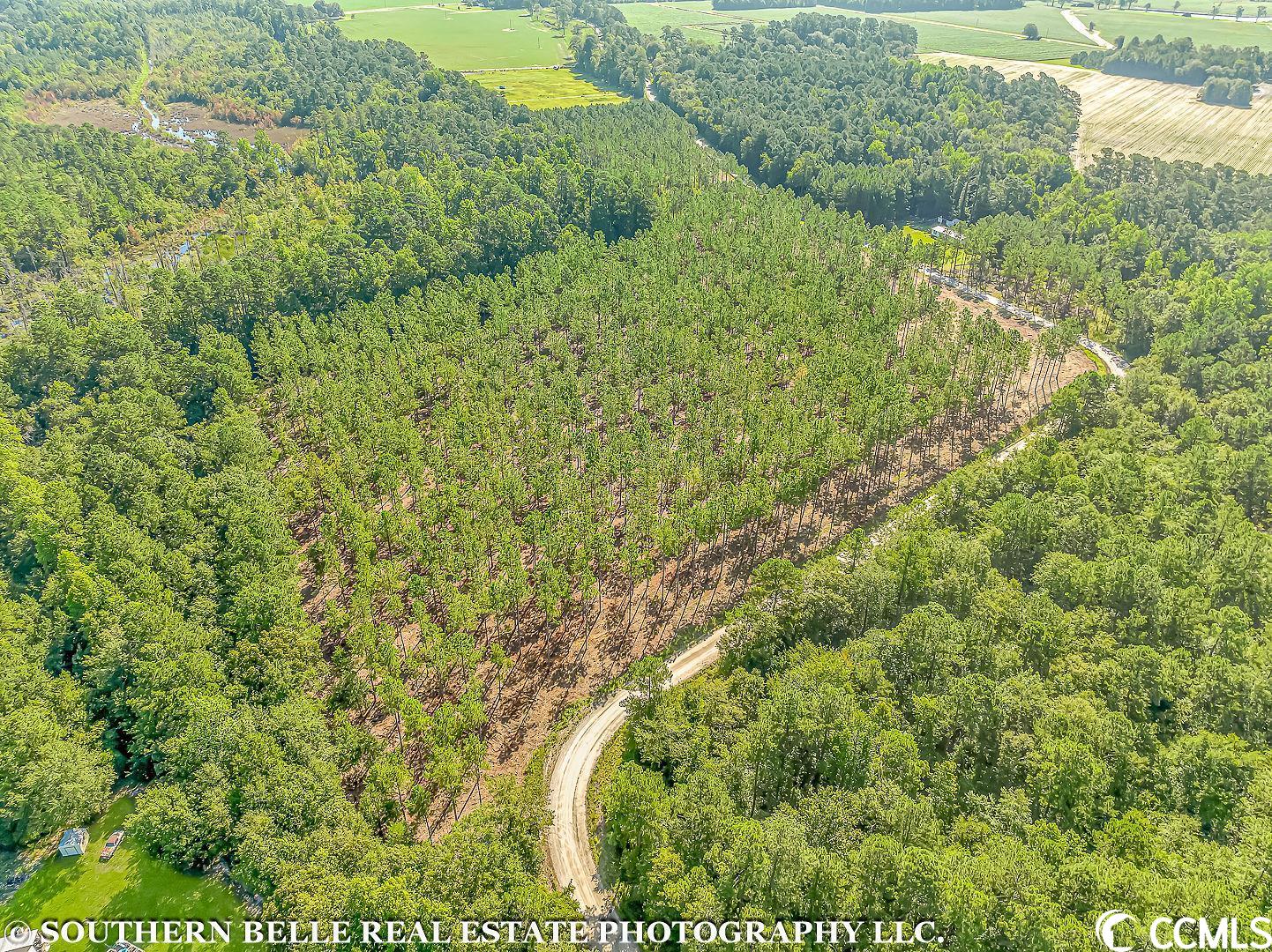 Tbd Coventry Road Nichols, SC 29581 - Photo 2 of 12 Gallery Image 2