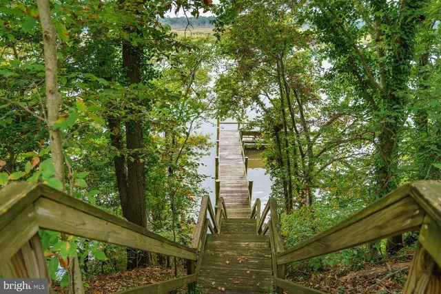 a picture of trees from a balcony