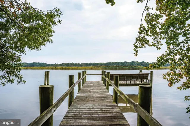 a view of a pathway of a house with large trees