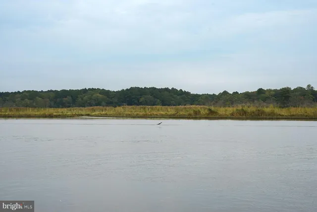 a view of a lake with a mountain in the background