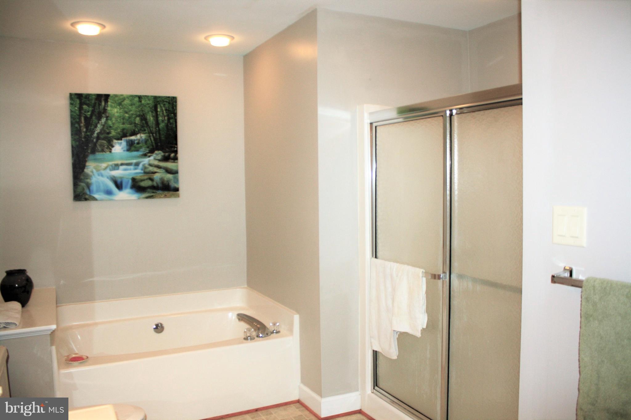 148 Ruth Court Strasburg, VA 22657 - Photo 14 of 30 a bathroom with a tub a toilet and a shower