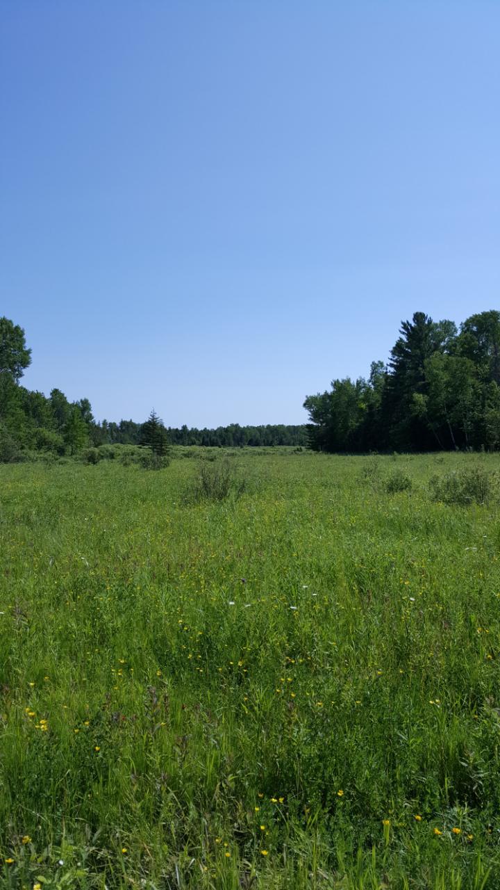 0 West 12 Mile Road Dafter, MI 49724 - Photo 10 of 15 Gallery Image 10
