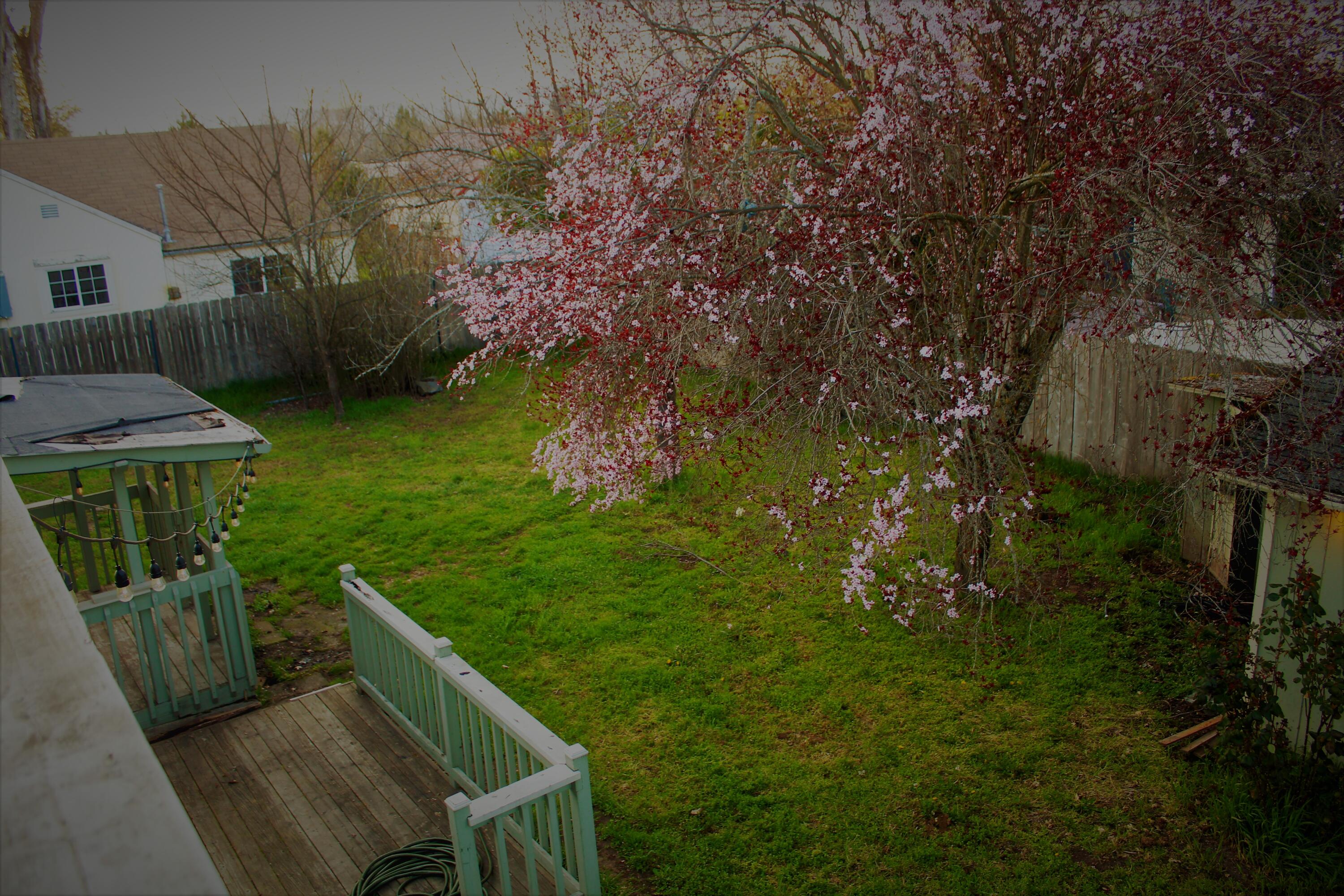 2516 Leonard Road Grants Pass, OR 97527 - Photo 14 of 23 IMG_1507 (2)