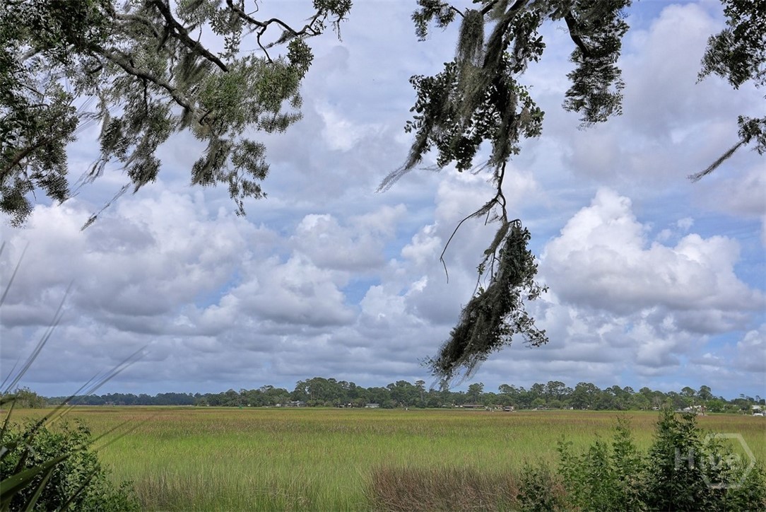 206 Bonaventure Road Thunderbolt, GA 31404 - Photo 1 of 9 View from sitting deck. Marsh to Wilmington River