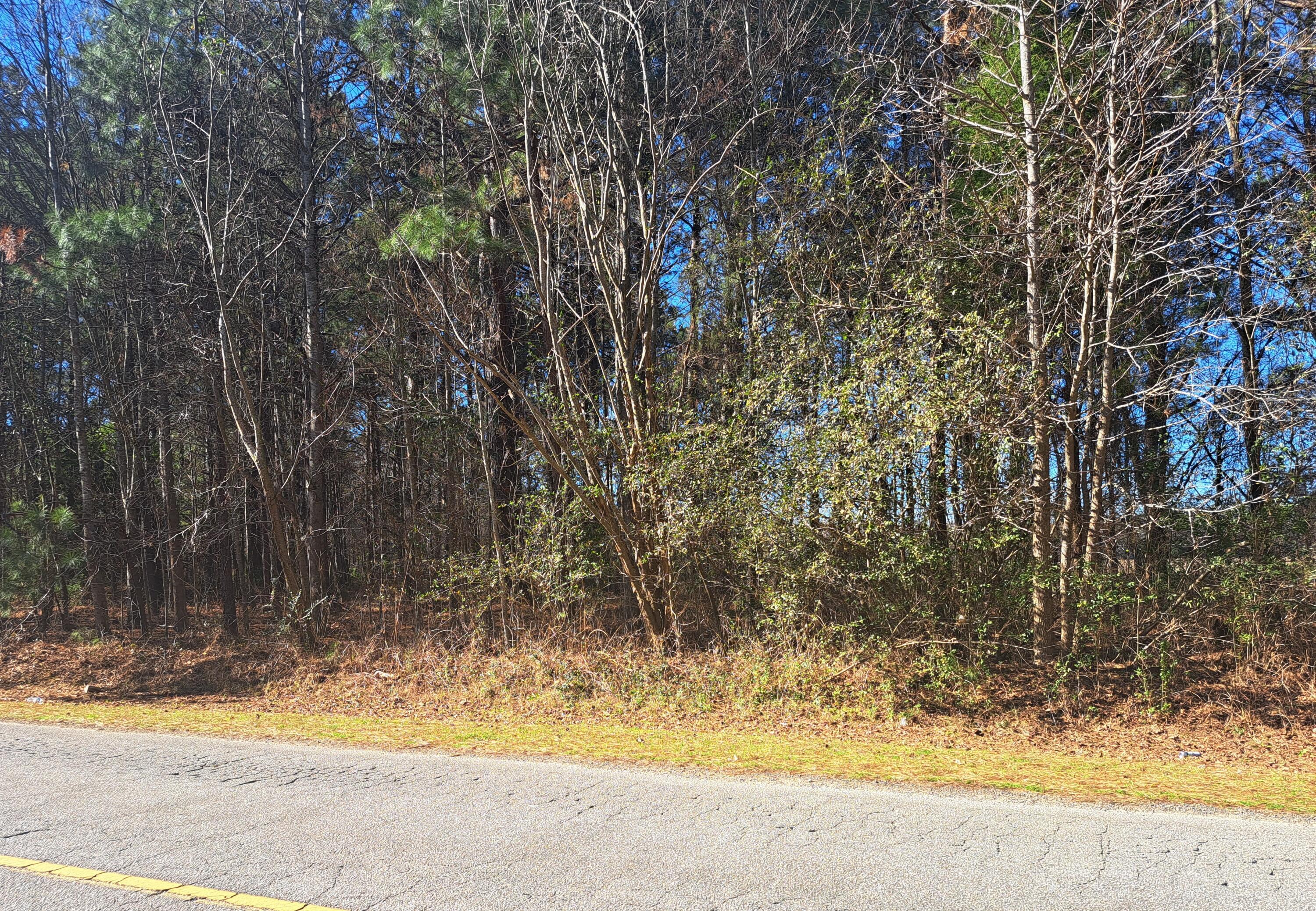 1 Antioch Road Santee, SC 29142 - Photo 2 of 3