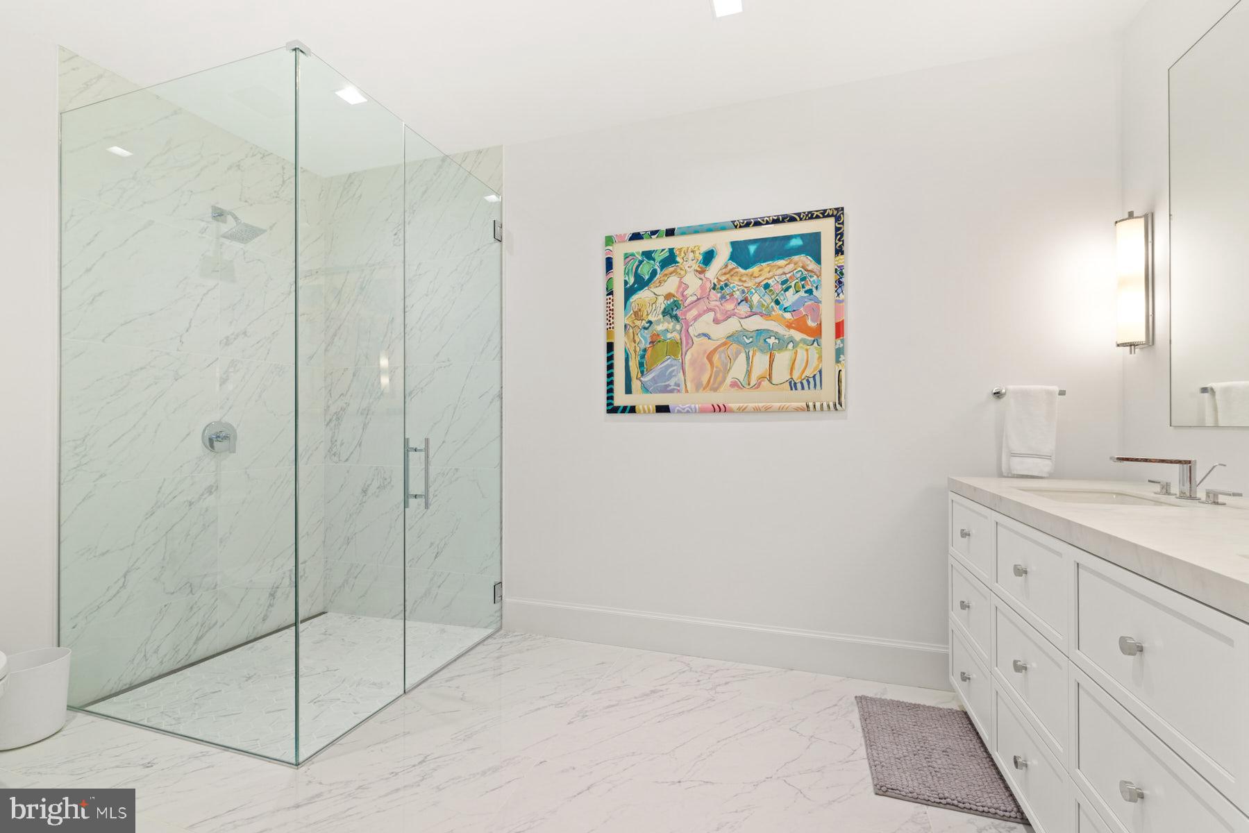 289 State Street, Unit 4 Annapolis, MD 21403 - Photo 34 of 45 Oversized shower