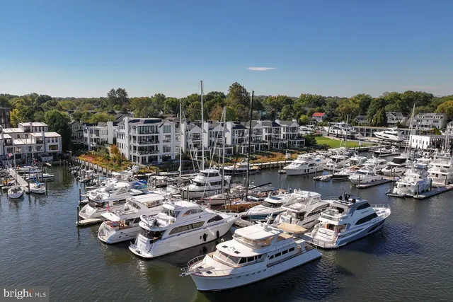 a picture of a city with lots of boats