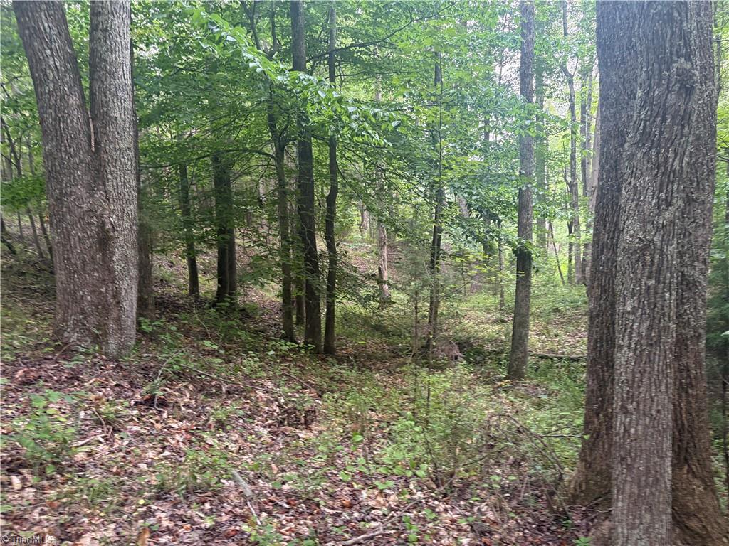 690 Goose Pond Road Ruffin, NC 27326 - Photo 13 of 17