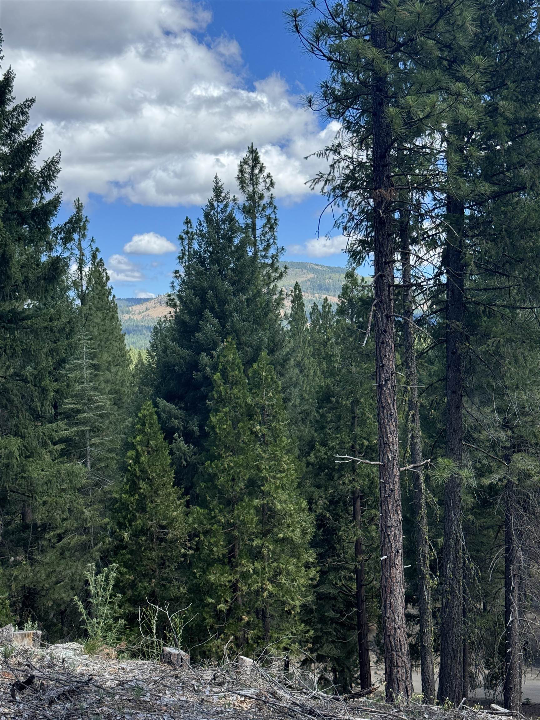 2245 Xanadu Road Clio, CA 96106 - Photo 14 of 43