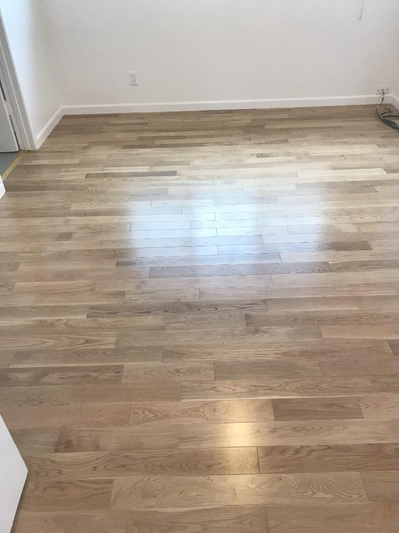 2469 Olive Avenue San Jose, CA 95128 - Photo 4 of 10 a view of beach and ocean