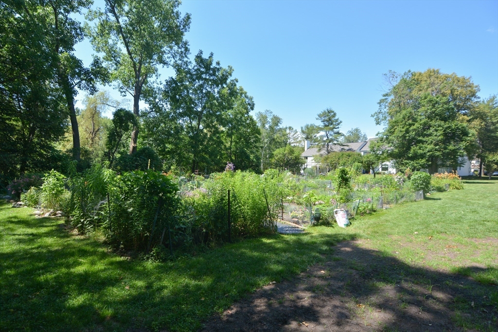 8 Concord Greene, Unit 4 Concord, MA 01742 - Photo 36 of 42 a view of a green field with lots of bushes